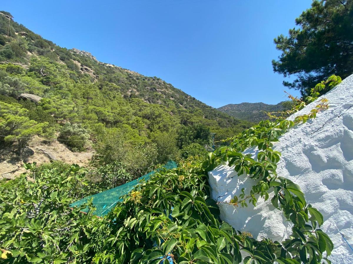 Oleander'S Garden Traditional Cretan Cottage แฟร์มา ภายนอก รูปภาพ