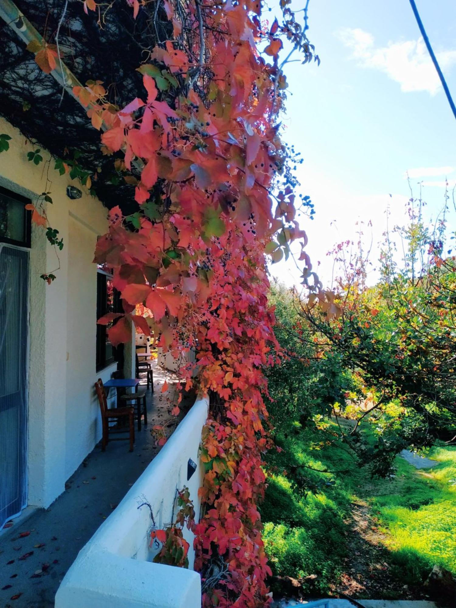 Oleander'S Garden Traditional Cretan Cottage แฟร์มา ภายนอก รูปภาพ