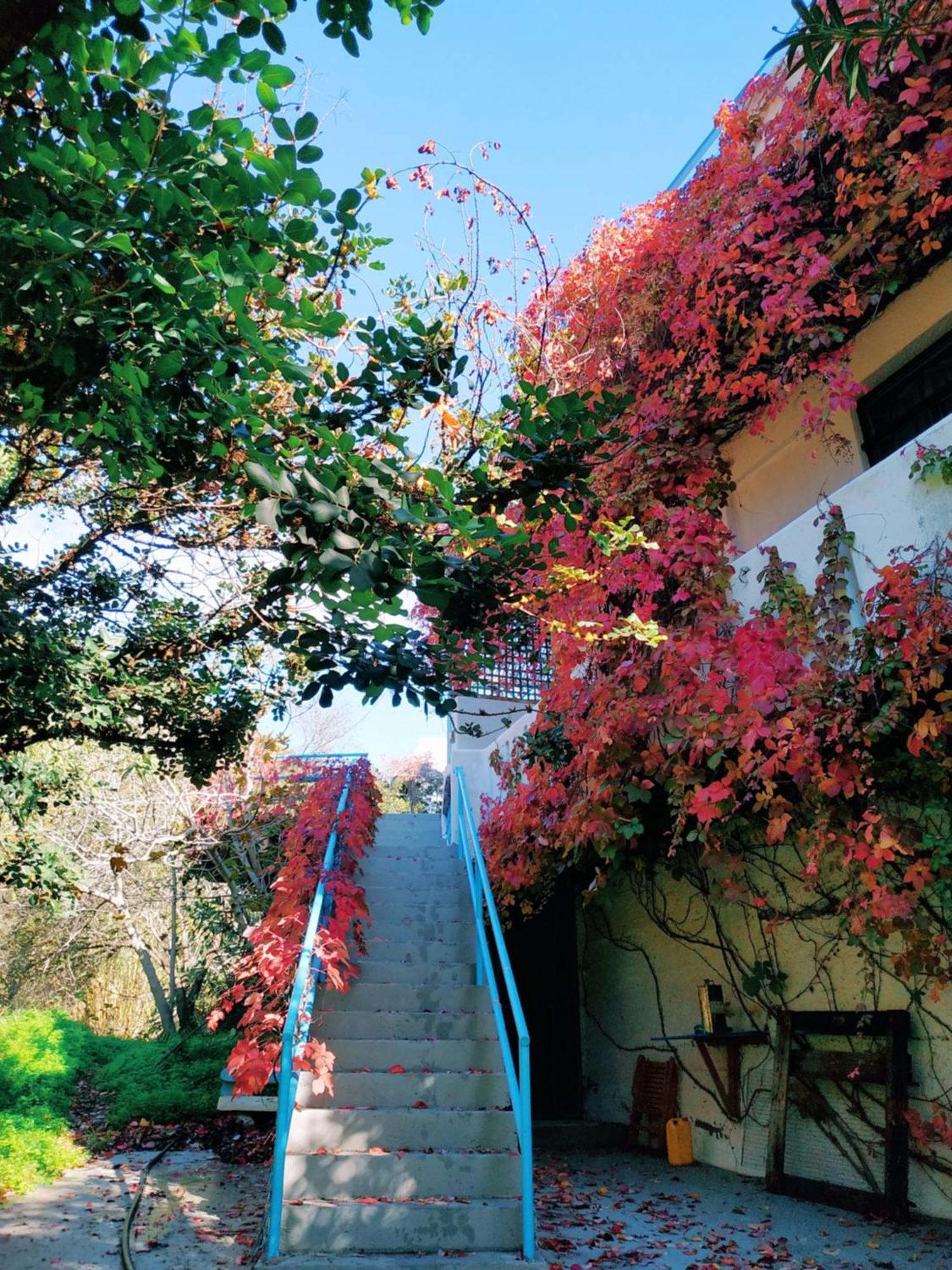Oleander'S Garden Traditional Cretan Cottage แฟร์มา ภายนอก รูปภาพ