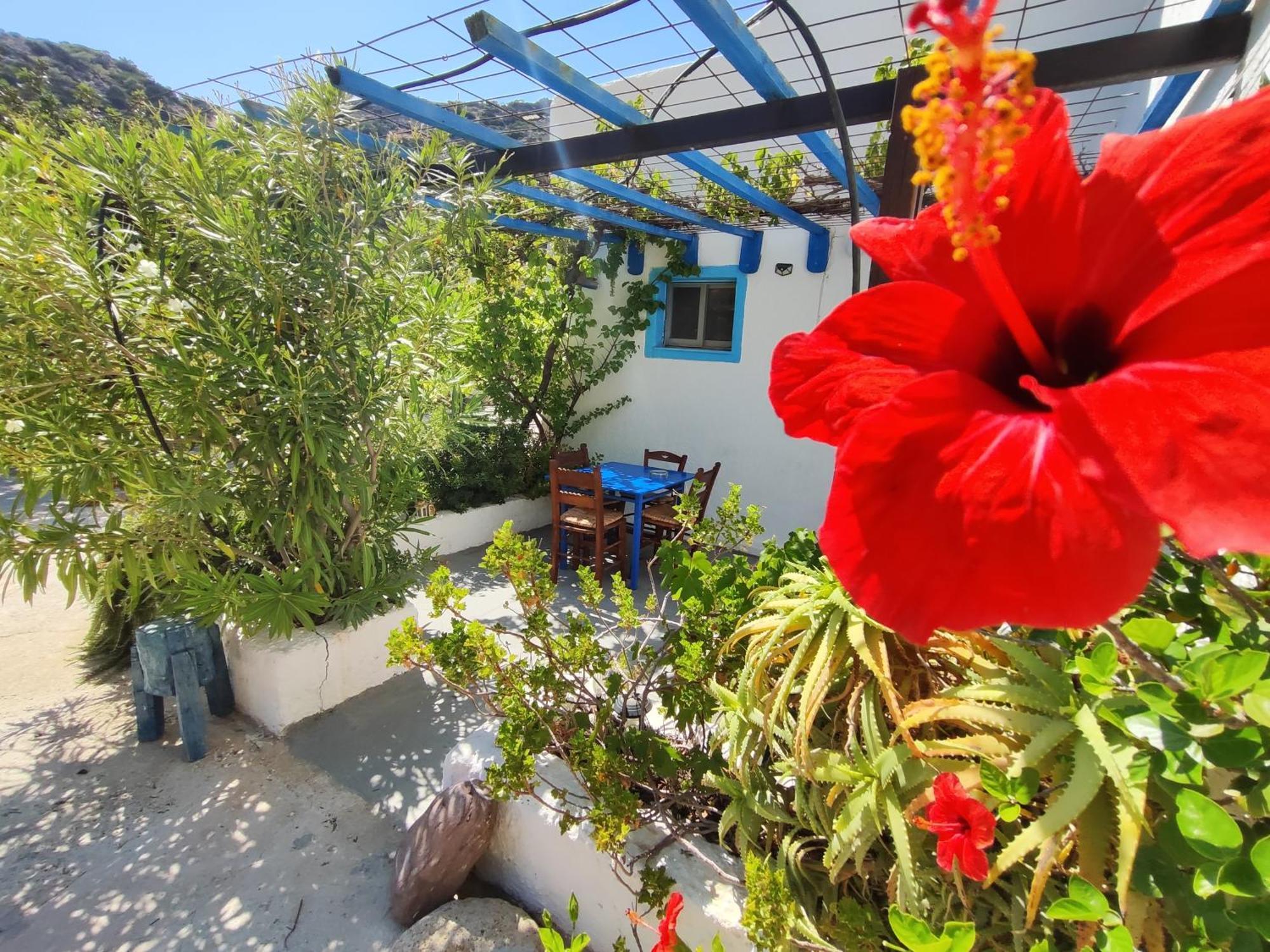 Oleander'S Garden Traditional Cretan Cottage แฟร์มา ภายนอก รูปภาพ